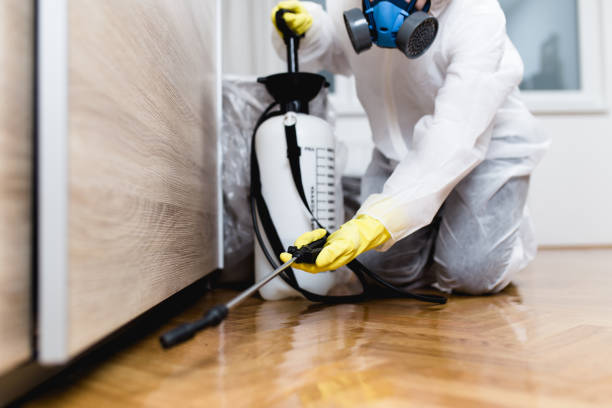 Best Pest Control for Homes  in Rock Hill, MO