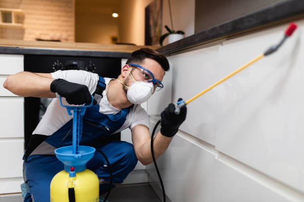 Best Residential Pest Control  in Rock Hill, MO