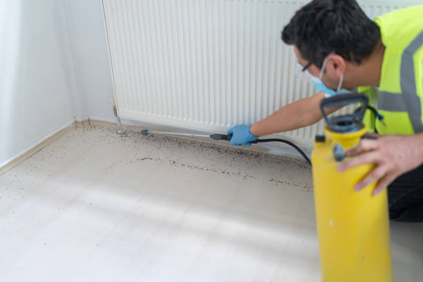 Best Best Pest Control Companies  in Rock Hill, MO